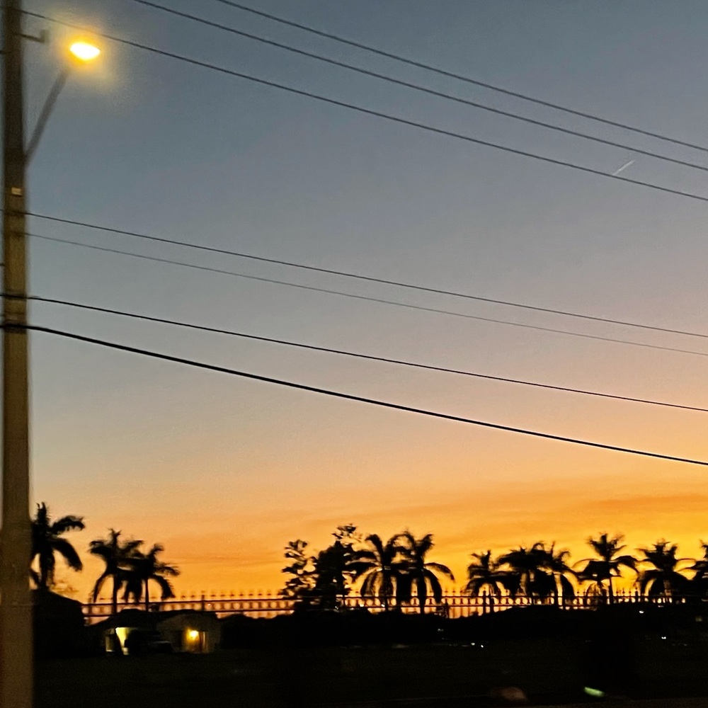 Meet your Posher, Grace